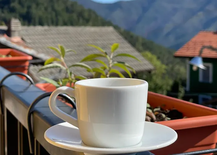 Sunrise & Pessinetto